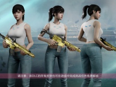 光明记忆无限服装图鉴大全 全服装DLC外观一览[多图]