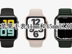 苹果手表41mm和45mm哪个好_区别[多图]