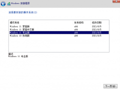 图文演示win11中文正式版安装教程[多图]