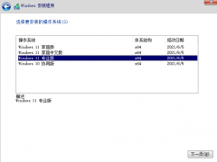 最新windows11中文版下载安装教程[多图]