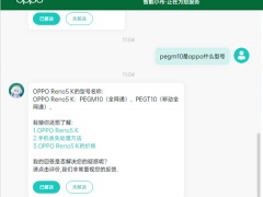 pegm10是oppo什么型号_是oppo什么手机