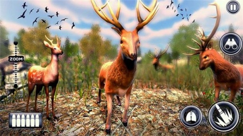 野鹿猎人手游下载_野鹿猎人2022版下载v1.0.3 安卓版 运行截图3