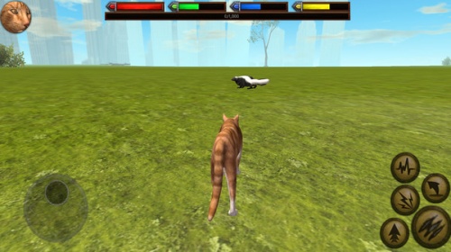 小猫模拟器游戏免费下载安装_小猫模拟器手机版下载v1.1 安卓版 运行截图2