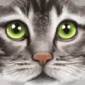 小猫模拟器游戏免费下载安装_小猫模拟器手机版下载v1.1 安卓版