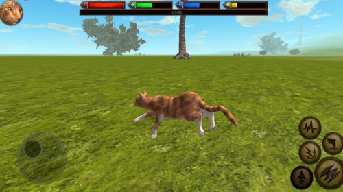 小猫模拟器游戏免费下载安装_小猫模拟器手机版下载v1.1 安卓版 运行截图3