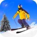 真正的滑雪锦标赛最新版下载_真正的滑雪锦标赛安卓版下载v1.0 安卓版