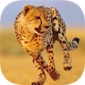 猎豹跑手游下载_猎豹跑最新版下载v1.1.2 安卓版