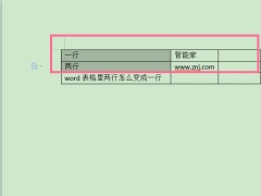 word表格里两行怎么变成一行_怎么把表格的两行变成一行[多图]