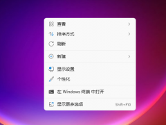 教你win11怎么隐藏桌面图标[多图]