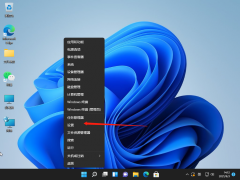 win11怎么改ip地址的图文教程[多图]