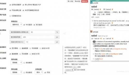 Saladict沙拉查词下载_Saladict沙拉查词最新最新版v7.20 运行截图1