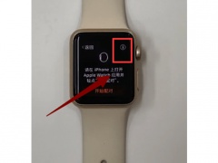 apple watch i标志在哪里_苹果手表上面的i标志在哪里