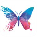 斑斓壁纸动态app下载_斑斓壁纸免费版下载v1.0 安卓版