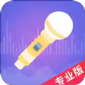 语聊音频变声器