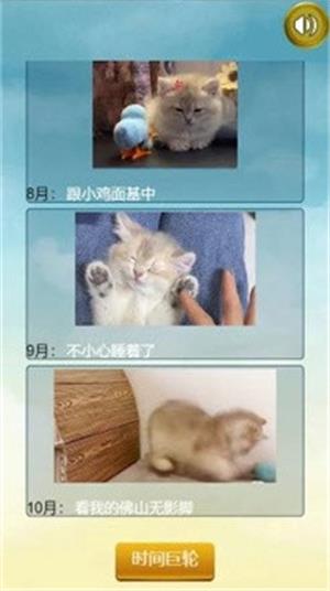 猫的一生重启模拟器安卓版下载_猫的一生重启模拟器游戏免费版下载v1.0.0 安卓版 运行截图1