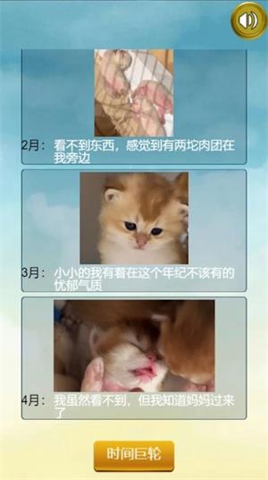 猫的一生重启模拟器安卓版下载_猫的一生重启模拟器游戏免费版下载v1.0.0 安卓版 运行截图3