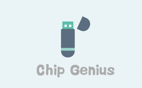 ChipGenius单文件版下载_ChipGenius单文件版(芯片检测工具)最新版v4.21.0701 运行截图1