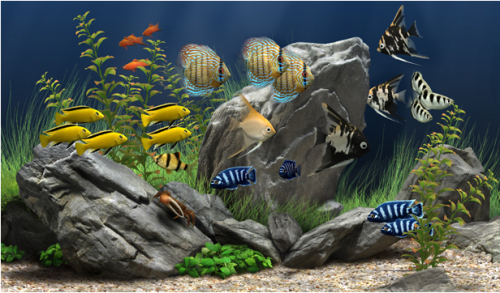 Dream Aquarium汉化版下载_Dream Aquarium(梦幻水族馆主题屏保) v1.0.70 最新版下载 运行截图1
