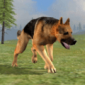 动物生存模拟器之狗游戏下载_动物生存模拟器之狗手机版下载v1.1 安卓版