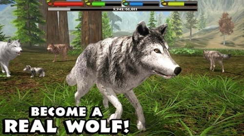 狼模拟器最新破解版下载-狼模拟器无限体力经验修改版下载v1.0 安卓版