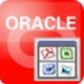 OraLobEditor中文版下载_OraLobEditor(Oracle数据库字段编辑工具) v4.6 绿色版下载