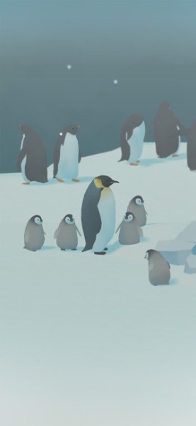 企鹅岛游戏下载-企鹅岛中文版免费下载v1.41.1最新版 运行截图2
