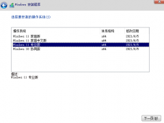 笔记本电脑windows11系统安装的教程[多图]