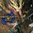 怪物猎人崛起PC版下载-（Monster Hunter：RISE）怪物猎人崛起PC中文版下载