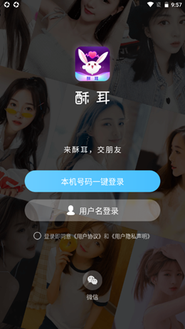 酥耳交友app最新版下载_酥耳手机版下载v1.0 安卓版 运行截图2