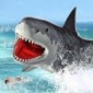 鲨鱼的疯狂吞噬最新版下载_鲨鱼的疯狂吞噬游戏下载v2.0.7 安卓版