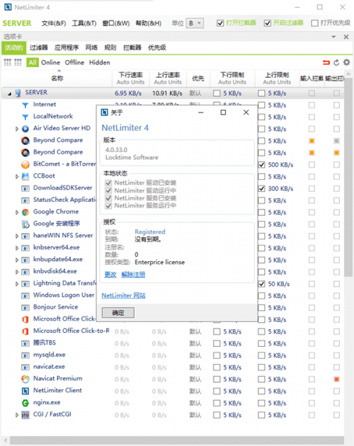 netlimiter4中文汉化下载_netlimiter4中文汉化免费最新版v4.0.39.0 运行截图4