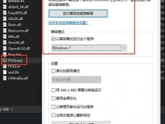 秦殇steam版win11闪退问题解决方法