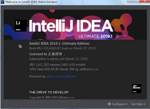 intellij idea ultimate中文破解版下载_intellij idea ultimate绿色破解版下载v2019.1 运行截图1