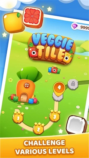 蔬菜方块拼图游戏下载_蔬菜方块拼图最新版下载v1.1.3 安卓版 运行截图2