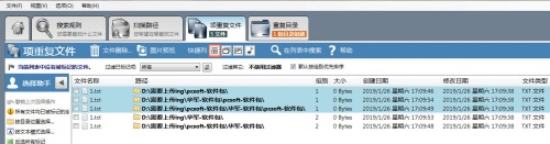 Duplicate Cleaner Pro4中文版下载_Duplicate Cleaner Pro4中文版绿色最新版v4.1.3 运行截图2