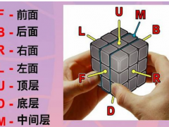 魔方如何还原,小编教你魔方还原步数