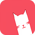 猫咪视频高清免费观看下载_猫咪视频app手机版下载v3.0 安卓版