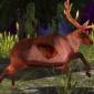 动物世界狩猎手机版下载-动物世界狩猎游戏下载