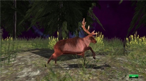 动物世界狩猎手机版下载-动物世界狩猎游戏下载 运行截图2