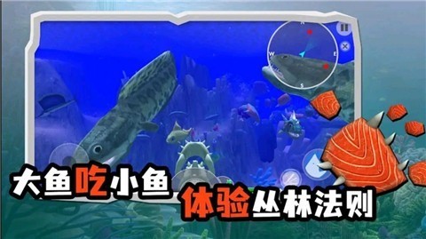 海底大猎杀模拟器正式版_海底大猎杀模拟器正式版下载 运行截图3