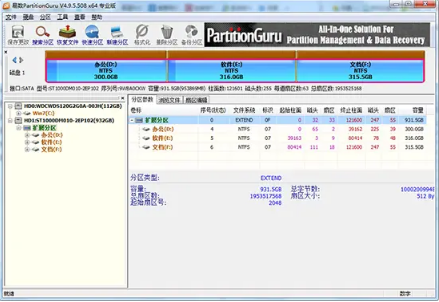 PartitionGuru专业版下载_PartitionGuru绿色中文版下载V4.9.5.508 运行截图2