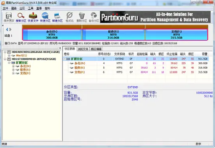 PartitionGuru专业版下载_PartitionGuru绿色中文版下载V4.9.5.508 运行截图3