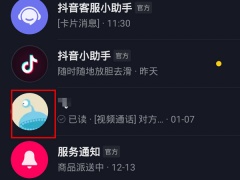 抖音怎么查看经常聊天的人_怎么看抖音和谁经常聊天[多图]