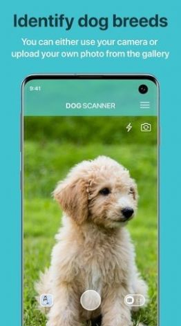 狗狗鉴定器app下载_狗狗鉴定器安卓最新版下载v12.1.0 安卓版 运行截图2