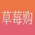 草莓购app下载_草莓购手机最新版下载v1.0 安卓版