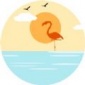 海鸟视频编辑最新app下载_海鸟视频编辑2022版下载v1.0 安卓版