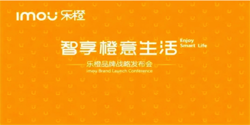 乐橙PC软件最新版下载_乐橙PC软件 v5.9.5 电脑版下载 运行截图1