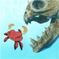 螃蟹生存模拟器要下载_螃蟹生存模拟器中文版下载
