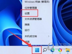 Windows11联网打不开网页怎么办 无法启动网页原因