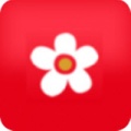 mimimi樱花动漫网app最新版下载_mimimi樱花动漫网2022版下载v5.0.0 安卓版